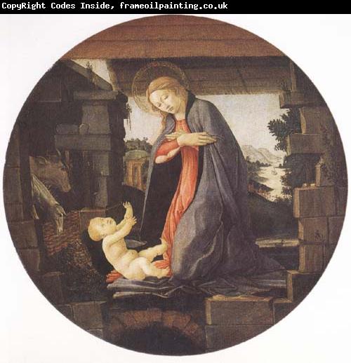 Sandro Botticelli Madonna in Adoration of the Christ Child